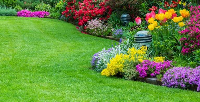 Garden Maintenance Services in San Jose