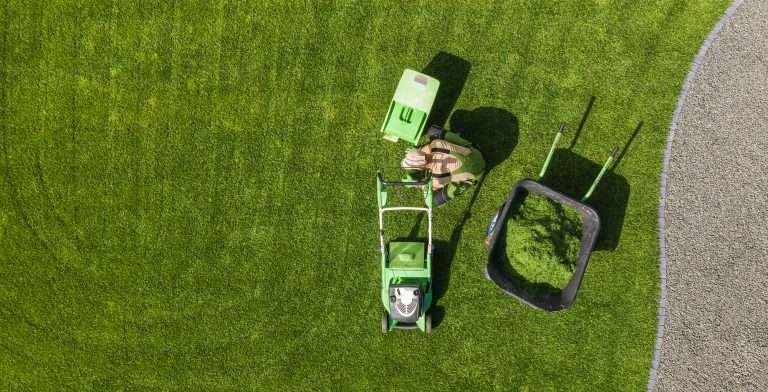 Landscaping Maintenance