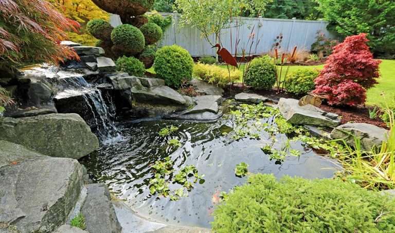 Water Features Installation in San Jose 5