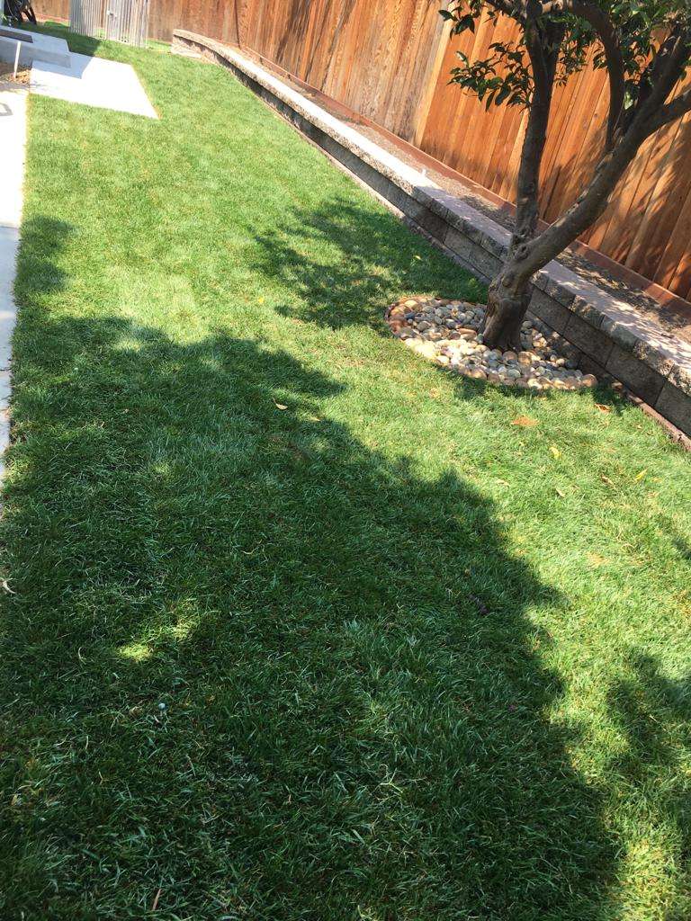 WhatsApp Image 2021-10-24 at 8.04