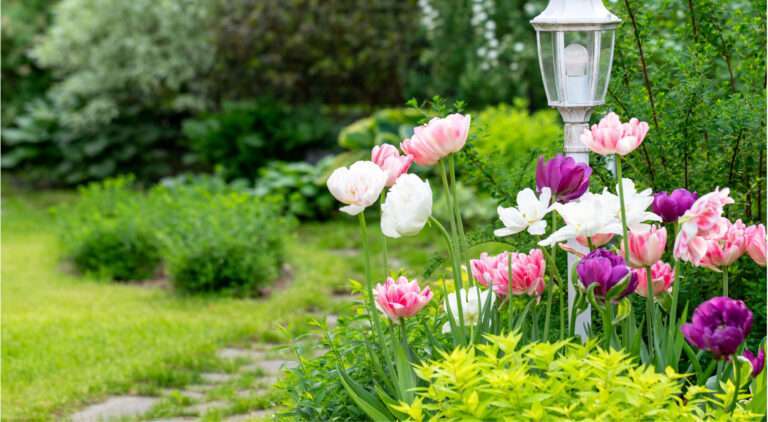 WH General Construction - Slider